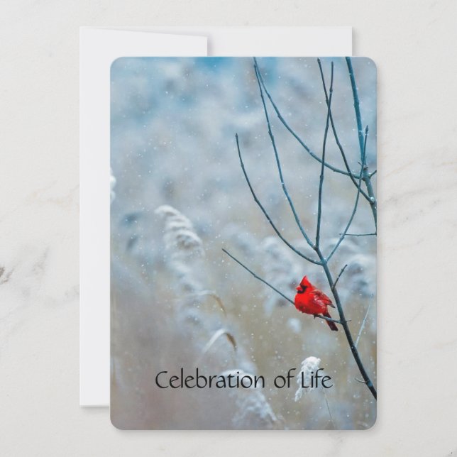 Convite Serviço Memorial Convidar Pássaro Vermelho Cardeal (Frente)