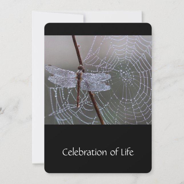 Convite Serviço Memorial Convide Dragonfly Dewdros (Frente)