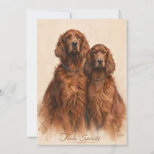 Convite Setter Irlandês