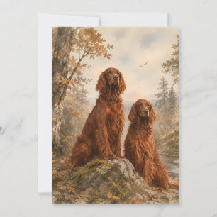 Convite Setter Irlandês