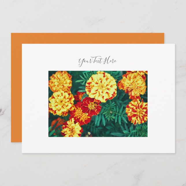 Convite Seu Texto Feliz, Brilhante, Marigold Flowers Convi (Frente/Verso)
