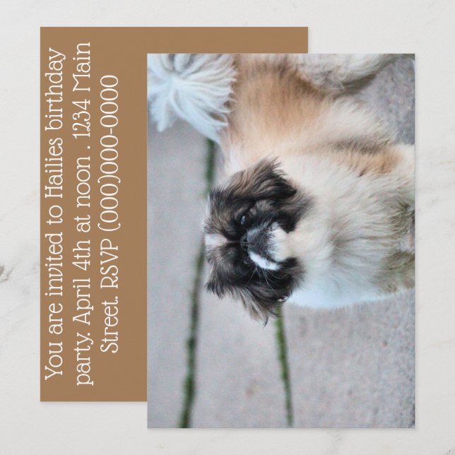 Convite Shih Tzu (Frente/Verso)