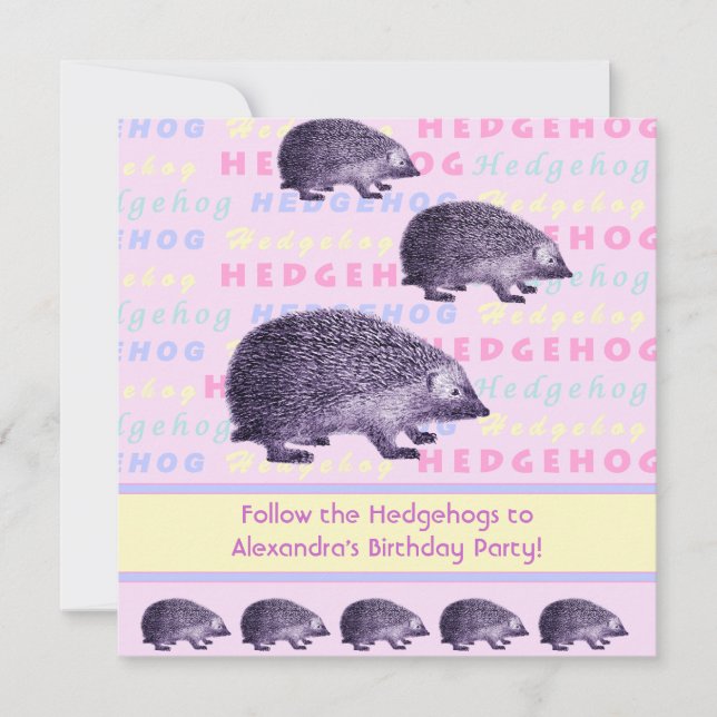 Convite Siga a Festa de aniversário da Garota dos Hedgehog (Frente)