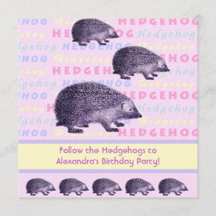 Convite Siga a Festa de aniversário da Garota dos Hedgehog