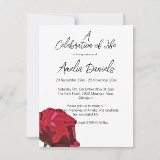 Convite Single Red Rose Celebration of Life Card
