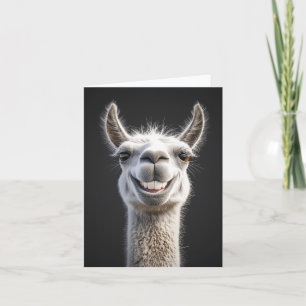 Convite Smiling Llama Close-up