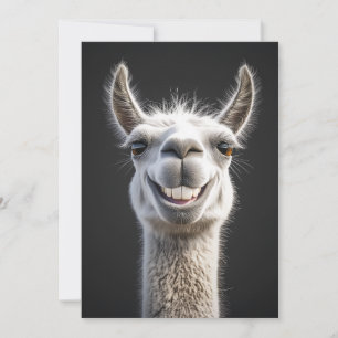 Convite Smiling Llama Close-up