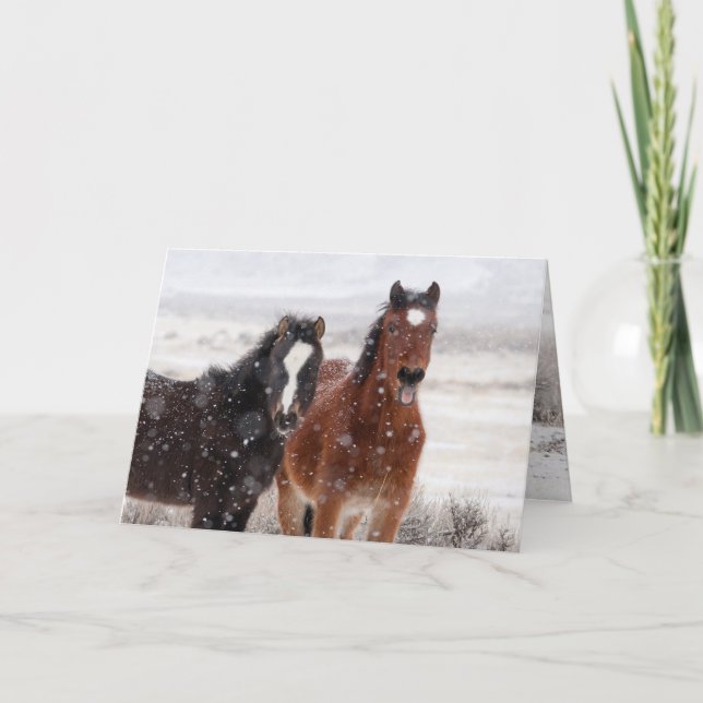 Convite Snow Colts Greeting Card (Frente)