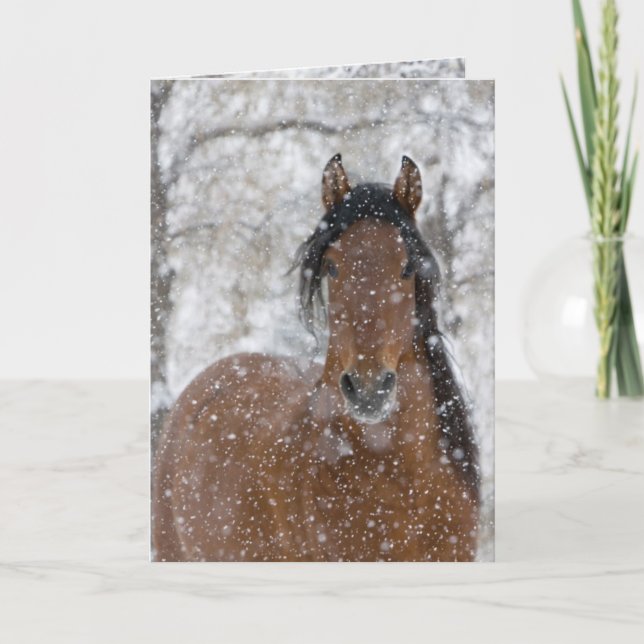 Convite Snow Stallion Greeting Card (Frente)