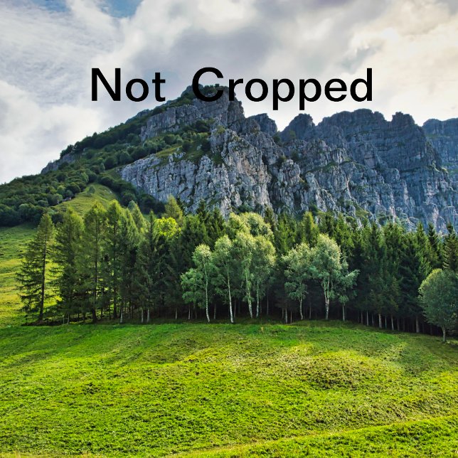 Convite solteira (Criador carregado)