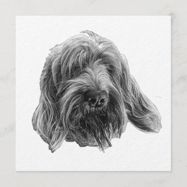 Convite Spinone Supper Invite (Frente)