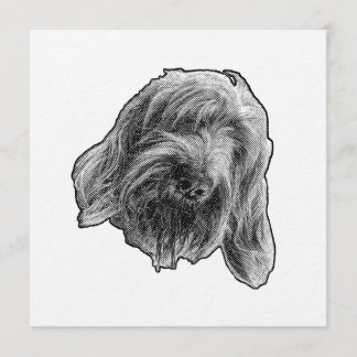 Convite Spinone Warm Gathering