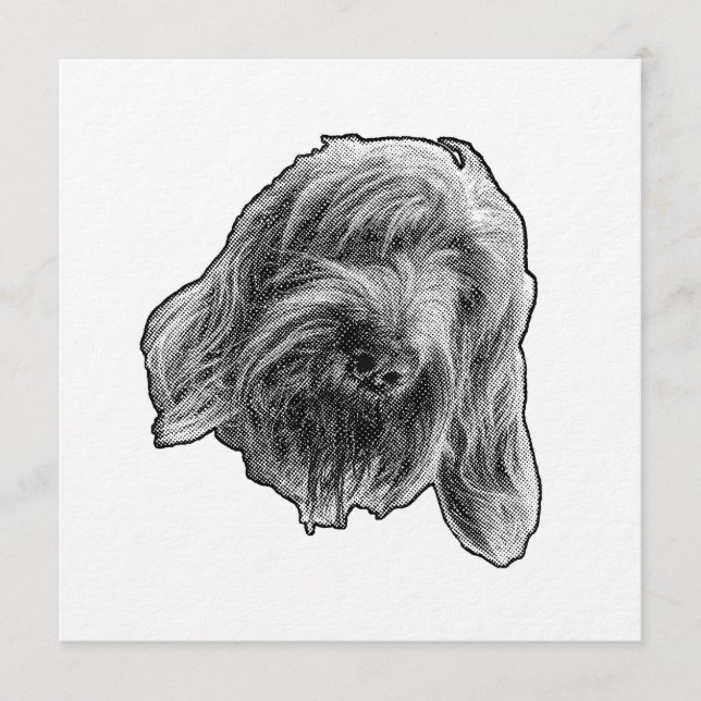 Convite Spinone Warm Gathering (Frente)