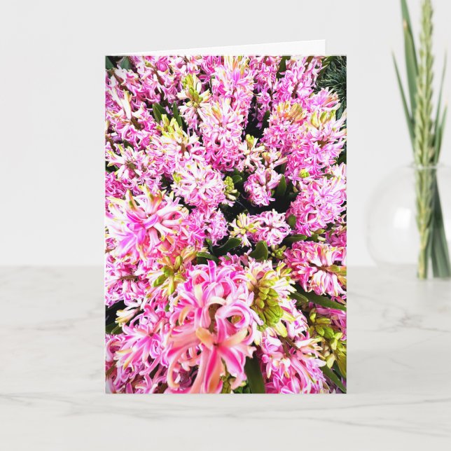 Convite Spring Hyacinth Blank Card (Frente)