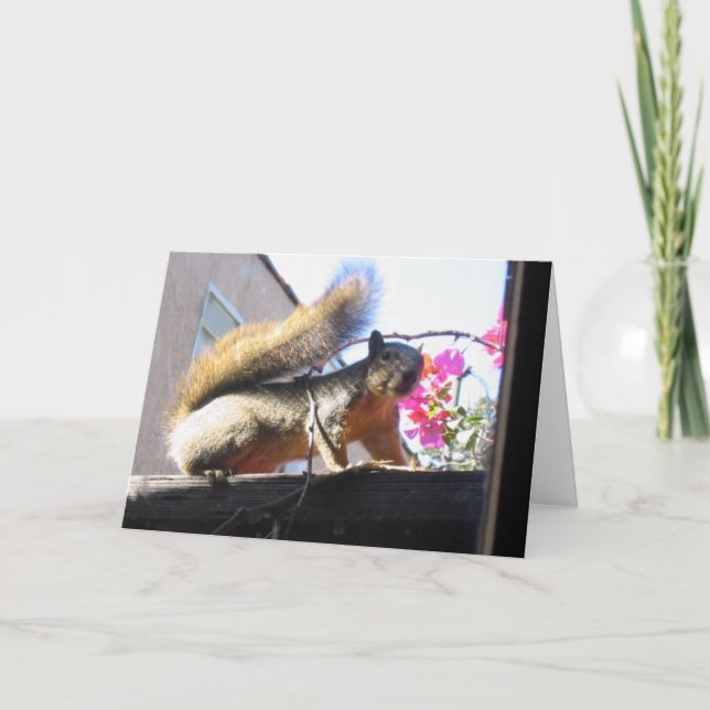 Convite Squirrel World Housewarming Card (Frente)