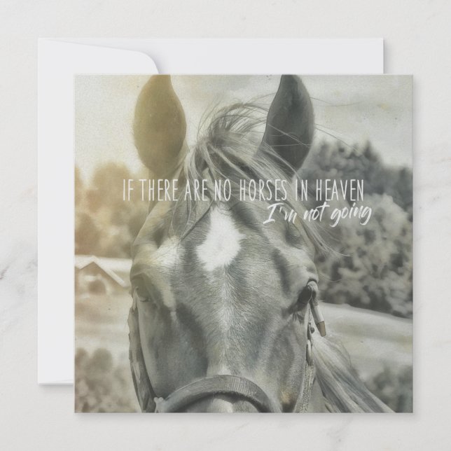 Convite SUMMER BREEZE 5.25 x 5.25 card (Frente)