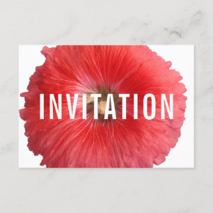 Convite Summer Red Hollyhock (Novo)