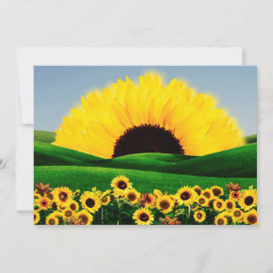 CONVITE SUNFLOWER HILL