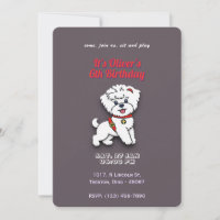Super Cão Aniversário Personalizado a Cor do Choco