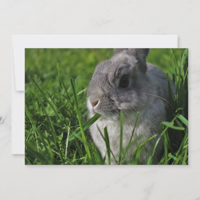 Convite Tempo do petisco (Frente)