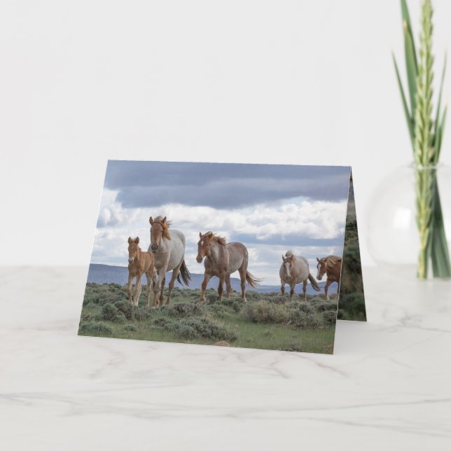 Convite The Wild Roan Family Runs Greeting Card (Frente)