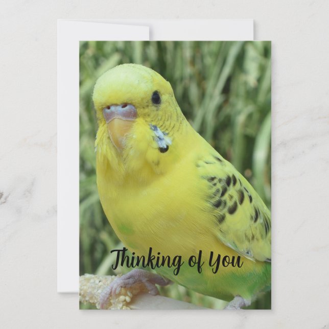 Convite Thinking of You card (Frente)