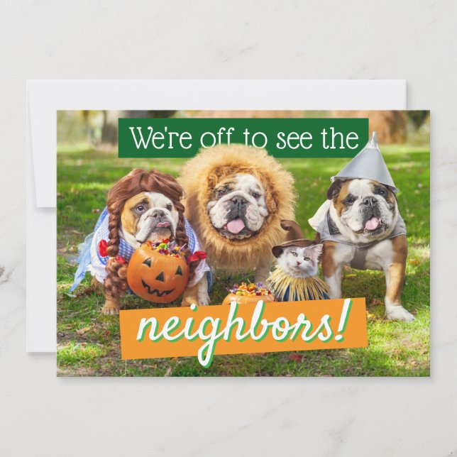 Convite Three Bulldogs in Costumes (Frente)