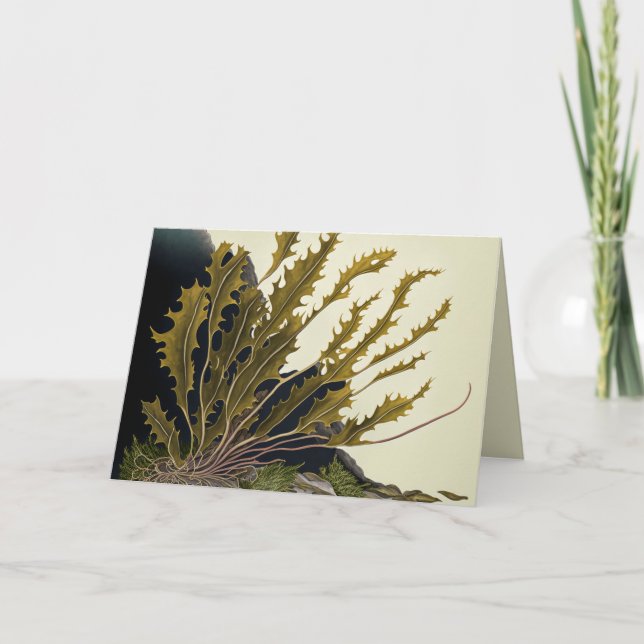 Convite Tidal Fronds (Frente)