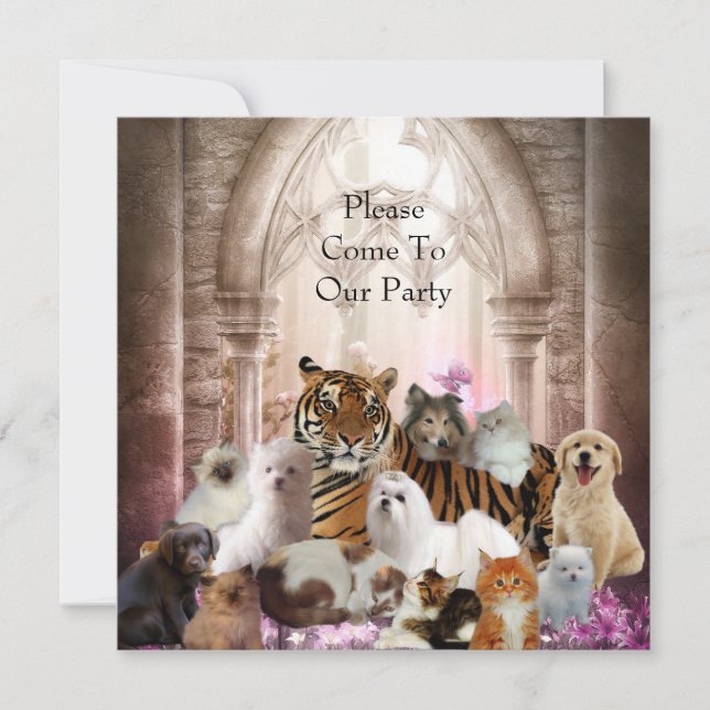 Convite Tiger Dogs Cats Festa (Frente)