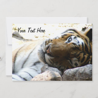 Convite Tigre Winking