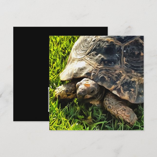 Convite Tortura Selvagem Na Arte Da Vida Selvagem De Prado (Frente/Verso)