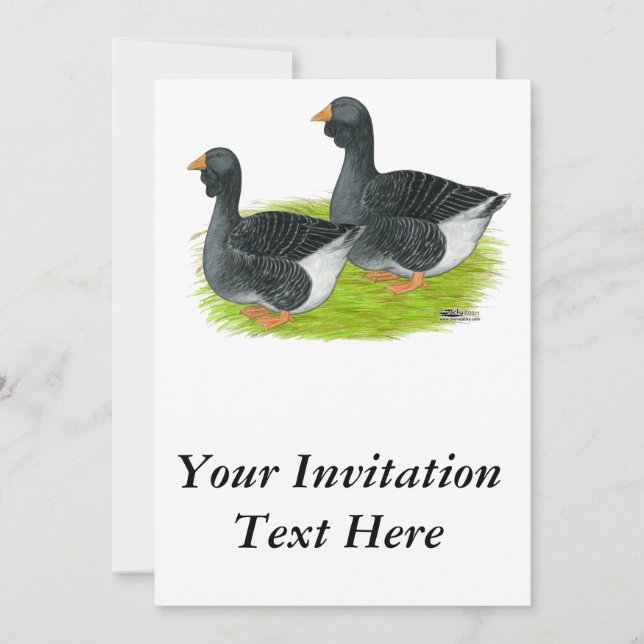 Convite Toulouse Dewlap Geese (Frente)