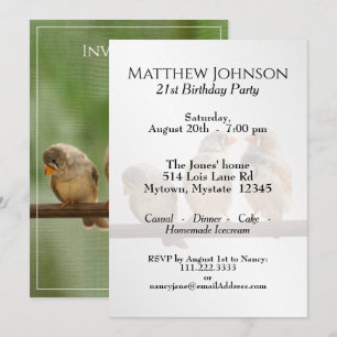 Convite Três Tuítes Fotografia de Pássaro Animal