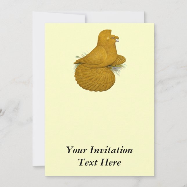 Convite Trumpeter Pigeon Amarelo (Frente)