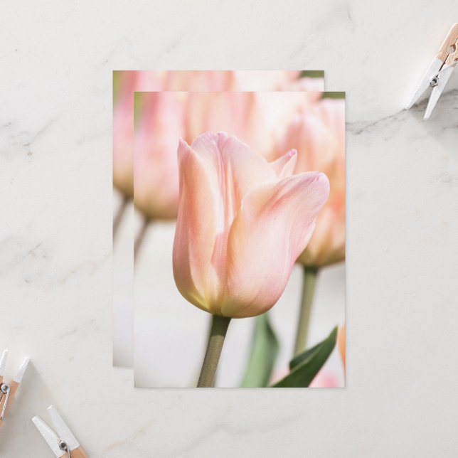 CONVITE TULIP (Frente/Verso In Situ)