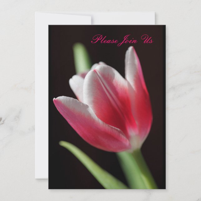 Convite Tulip (Frente)