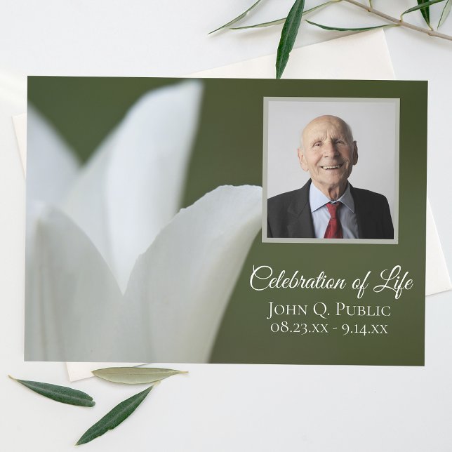 Convite Tulipa Branca da Primavera na Celebração da Vida V (Criador carregado)