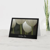 Tulipas Brancas Você Será Minha Porta-Pontas