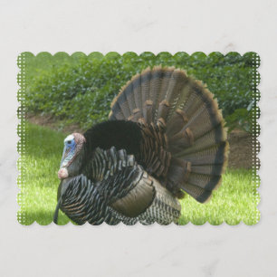 Convite turkey-1.jpg