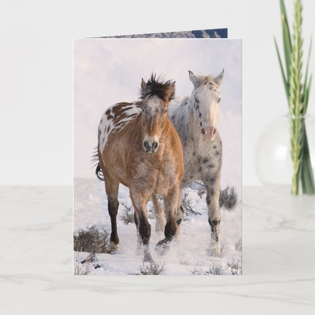 Convite Two Appaloosas Greeting Card (Frente)
