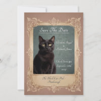 Um dia para lembrar do gato preto