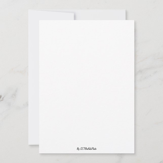 Convite Um Espetáculo Deslumbrante (Verso)