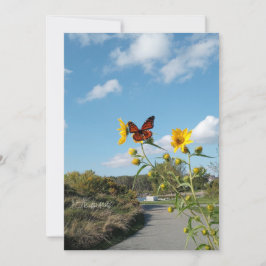 Convite Um espetáculo surpreendente