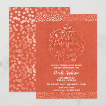 Um pequeno outono de abóbora rústico laranja Baby 