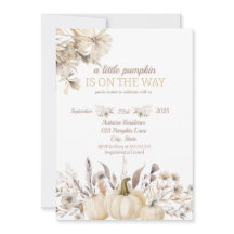 Uma Pequena Abóbora Está A Caminho