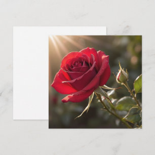 Convite Uma vibrante rosa vermelha, simbolizando amor e pa