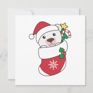 Convite Urso Polar Natal Neve Inverno Animais Polar