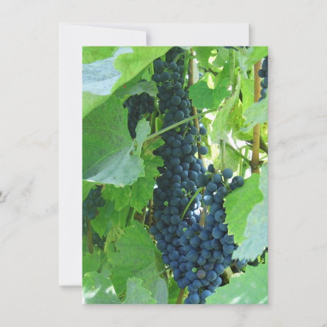 Convite Uvas Azuis (Frente)