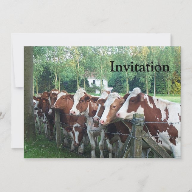 Convite Vacas Curiosas (Frente)