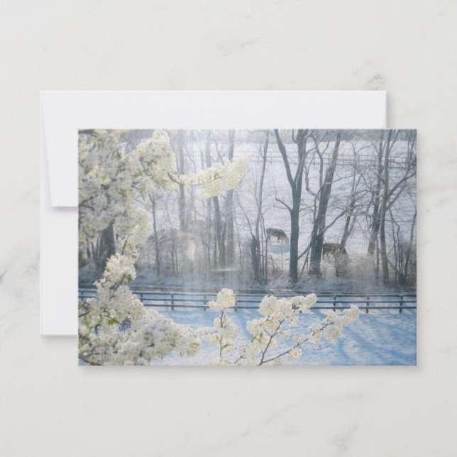 Convite Vacas em campo no inverno (Frente)